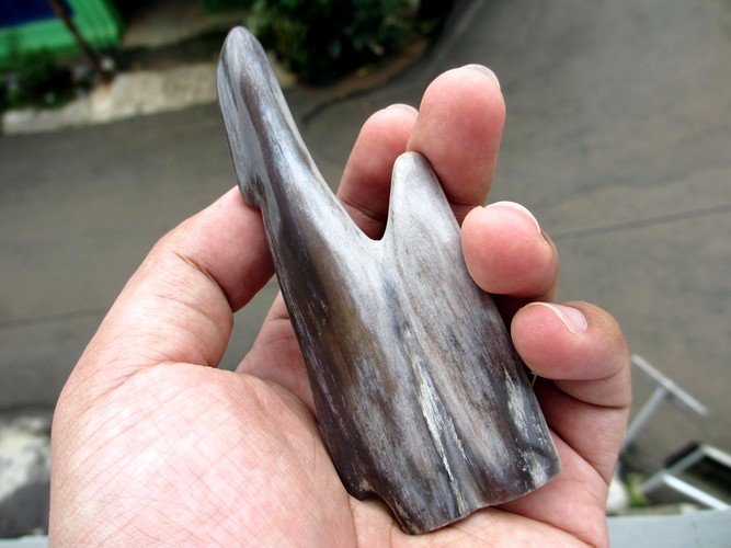 mustika fosil kayu purba ma047 mustikaalam batu mustika fosil kayu purba ma047 mustikaalam batu